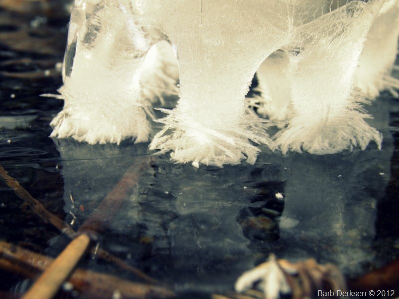 [Barb%2520Derksen%2520Ice%25202012%2520%2520%252830%2529%255B7%255D.jpg]