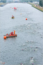Roth_2010_131.jpg