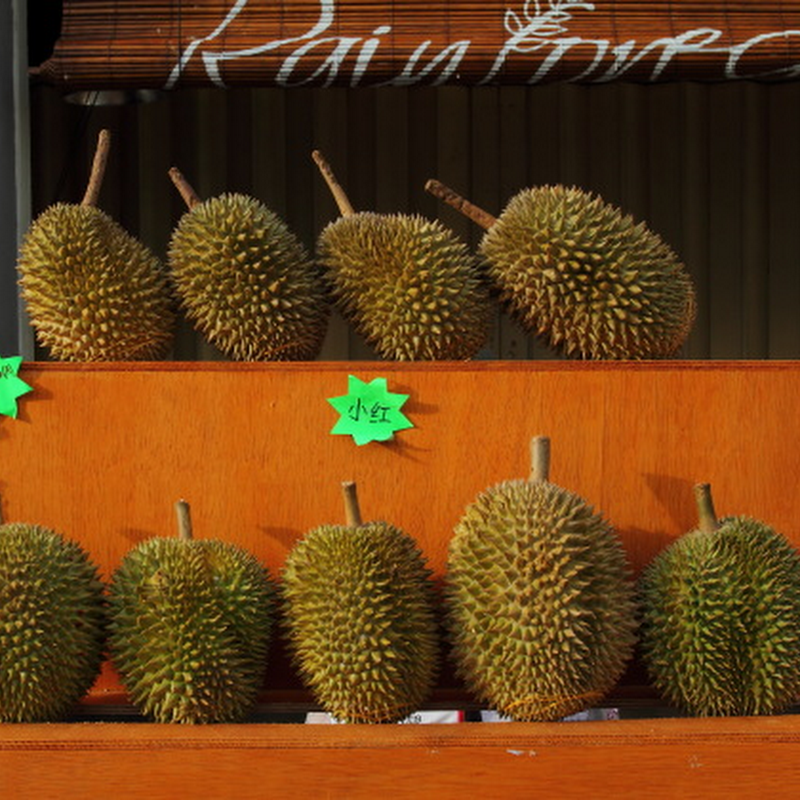 Durian The King of South East Asian Fruits Be On The Road Live