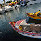 _DSC0205.JPG