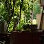 Turfan - Putaogou le raisin au restaurant