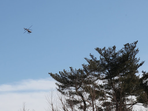 He's circling around now!  Where will this Red Baron, that ace-of-aces fighter pilot, head next?