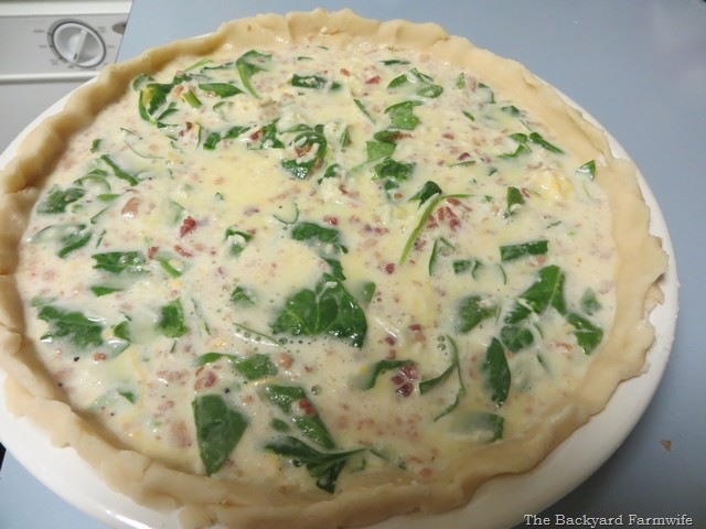 [quiche%252002%255B6%255D.jpg]