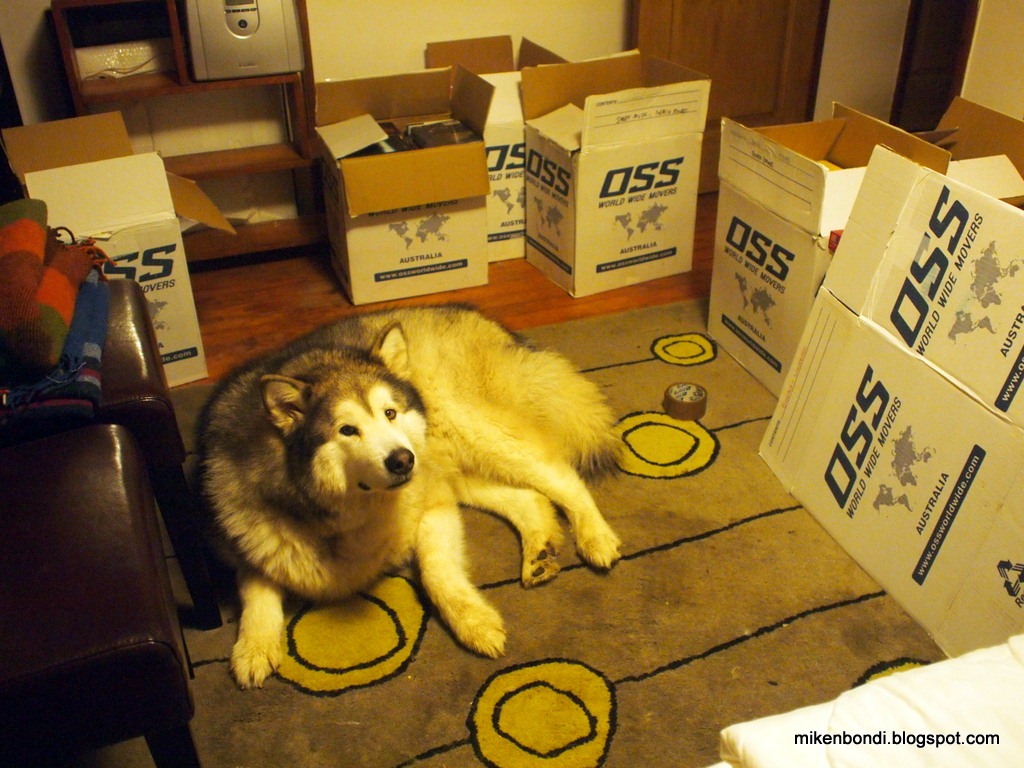 [books%2520and%2520boxes%2520...%2520again%255B4%255D.jpg]