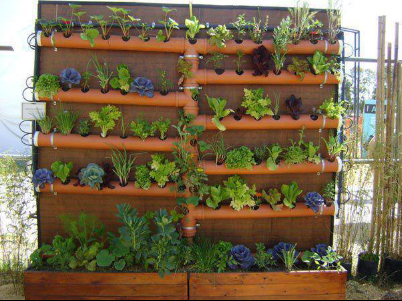 jardim vertical urbano:Postado por Natália Tadaiesky às 05:26 jardim vertical urbano:Postado por Natália Tadaiesky às 05:26