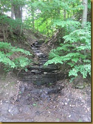 2011-6-10 geocache NY small falls (7) 2011-6-10 geocache NY small falls (7)