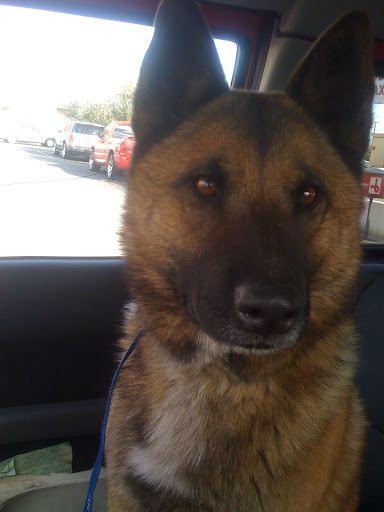 Henry says, 