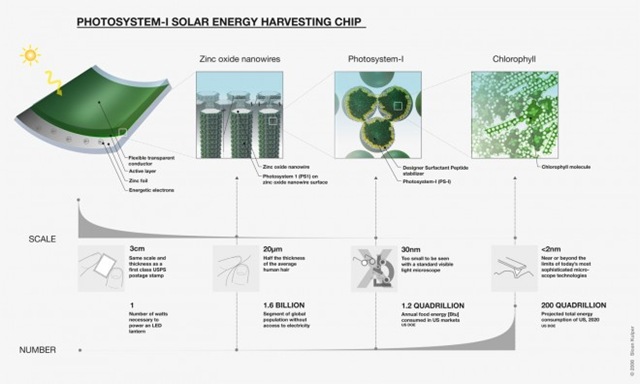 [photosystem-solar-harvesting-chip%255B7%255D.jpg]