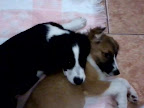 JULEN Y KITZIA dormidos, reflejan la tranquilidad que les da su familia gracias
