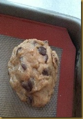 Chocolate Chip Oreo Cookies1