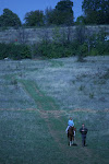 Veliko Tarnovo, Bulgaria 023.JPG