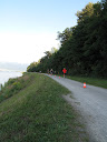 IMG_1375.jpg