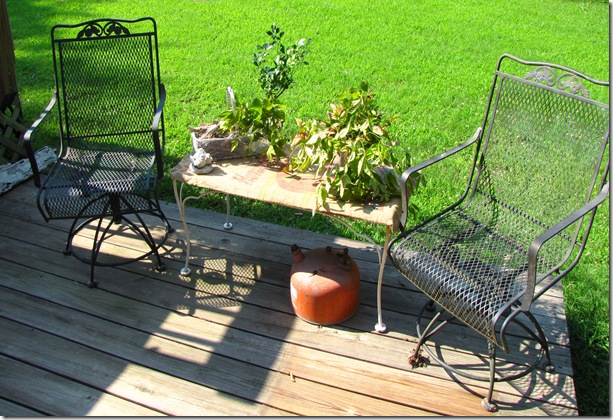 patio 4