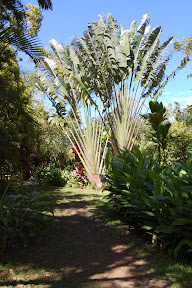 DSC_0261.jpg