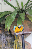 IMG_8485.JPG