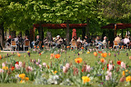 Le Jardin des Tuileries