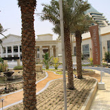 IMG_4593.JPG
