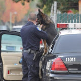 Two alleged lawnmower thieves were apprehended at the corner of Franklin and 16th Ave. News_111107_LawnMowerTheft- South Sacramento