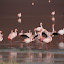 James's Flamingos