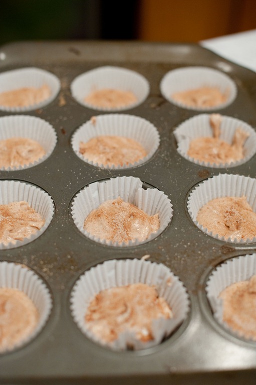 [snickerdoodlemuffins9%255B5%255D.jpg]
