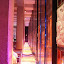 DSCF9174.JPG