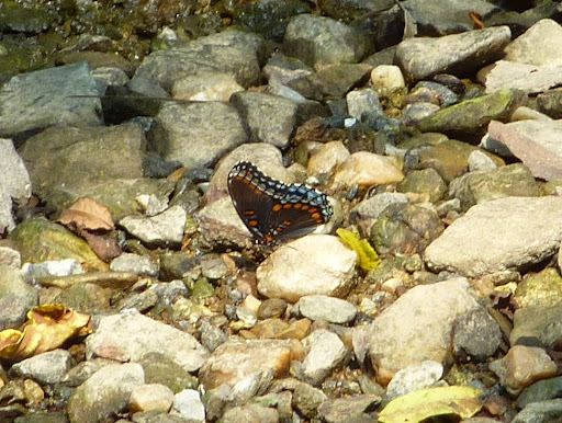 P1120257
