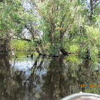 IMG_7618.JPG