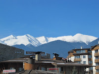 IMG_4946.jpg