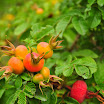 DSC_0724.JPG