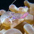 P7014105