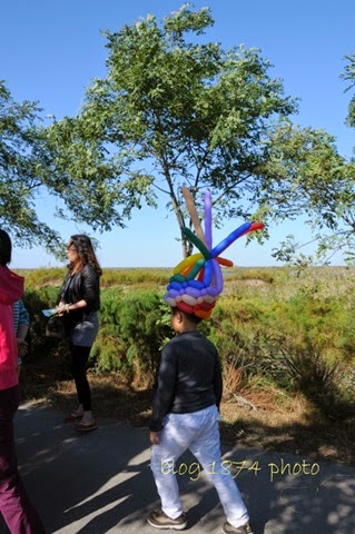 [SYG_4491%255B3%255D.jpg]