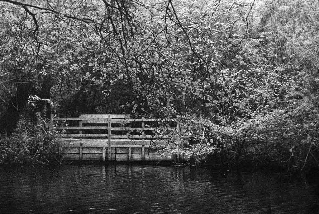 [Across-the-Lake%255B3%255D.jpg]
