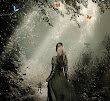 Forest Witch