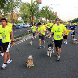 Pet Express Doggie Run 2012 Philippines. Jpg (79).JPG