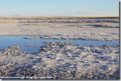 Concentração de sal, na Laguna Cejar