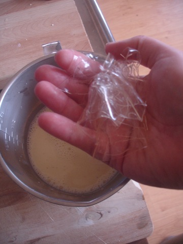 [DSC08373%255B2%255D.jpg]