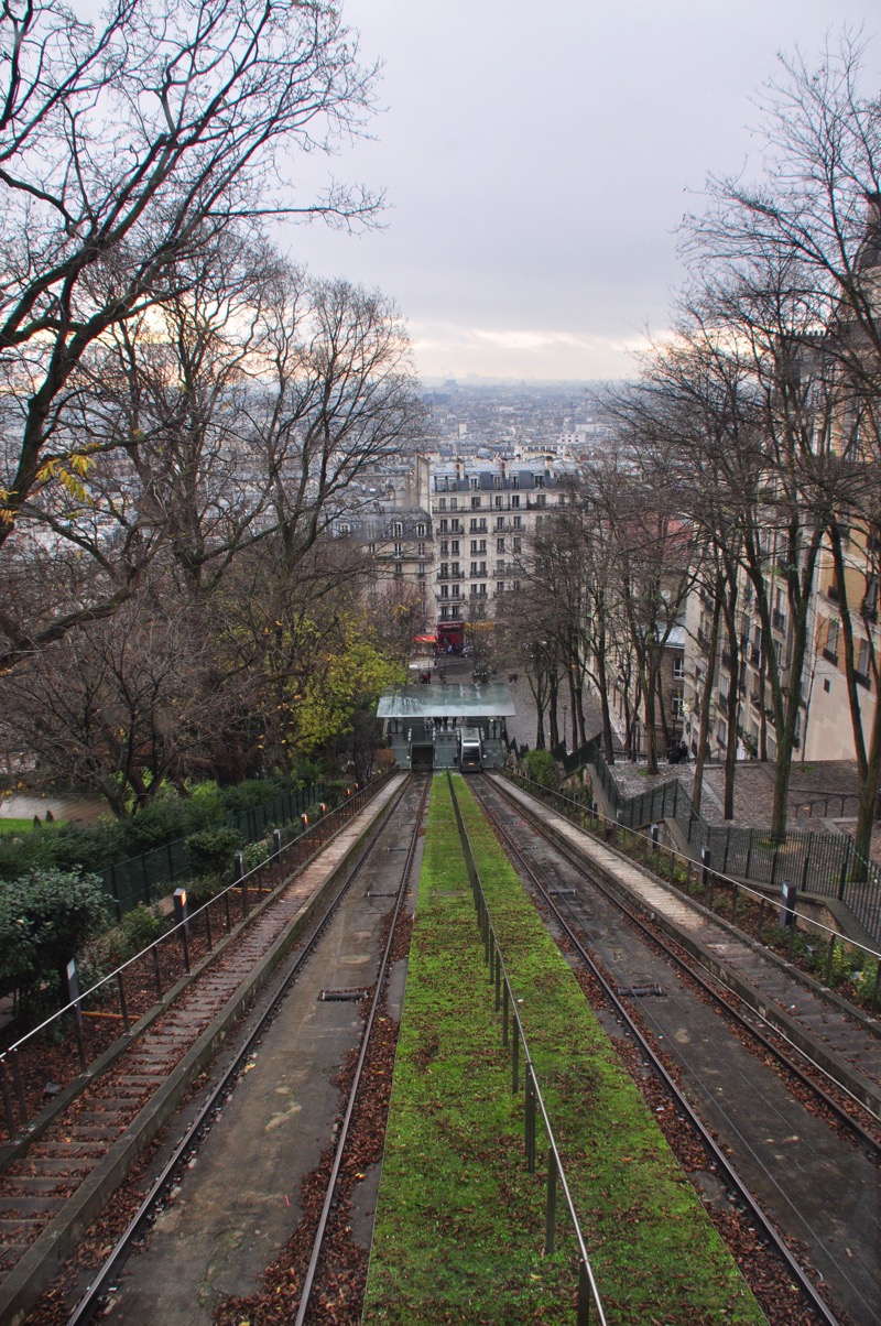 DSC_0494.jpg DSC 0494