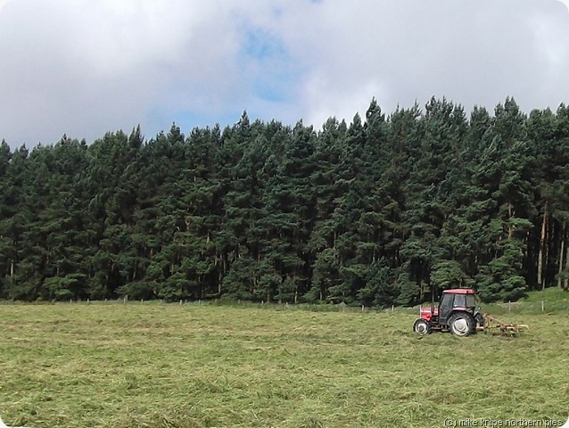 turning hay near townfield