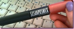 susan posnick