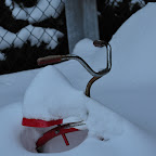 DSC_2404.jpg