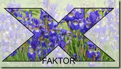 blaa-blomster-x blaa-blomster-x