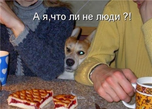 [1353684252_shikarnye-kotomatricy-11%255B4%255D.jpg]