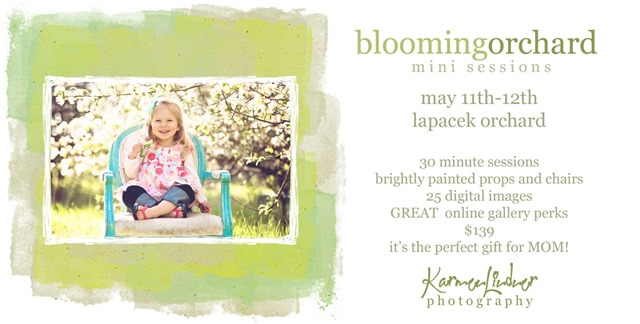 blooming orchard blooming orchard