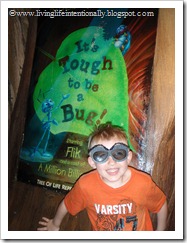 Disney 2011 499