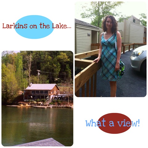 [larkins%2520collage%255B3%255D.jpg]