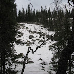 Курумник, занесённый снегом.