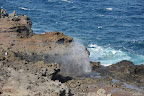 DSC_5260.JPG