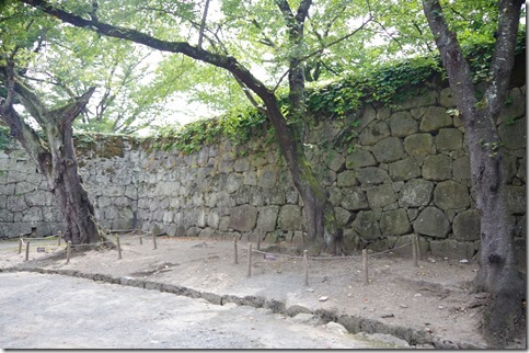 IMGP9669 IMGP9669