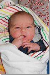 IMG_1126 IMG_1126