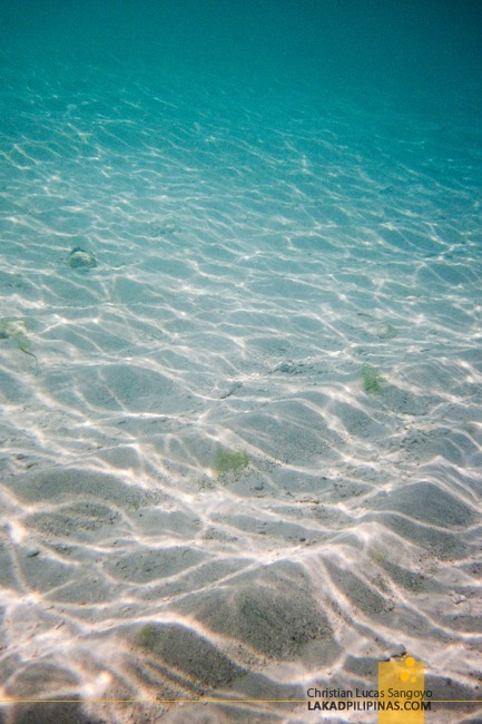 Malapascua Island Hopping and Snorkeling